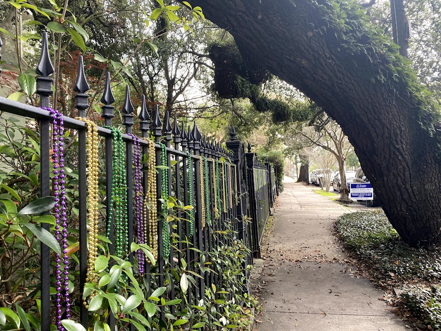 A sidewalk in a quiet New Orleans neighborhood lined with wrought iron fencing adorned with vibrant Mardi Gras beads in green, purple, and gold. A large oak tree arches over the walkway, its branches covered in moss, creating a picturesque and festive scene.