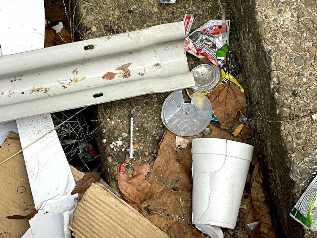 An assortment of discarded trash, including a styrofoam cup, cardboard, and a syringe, scattered on concrete and among fallen leaves.