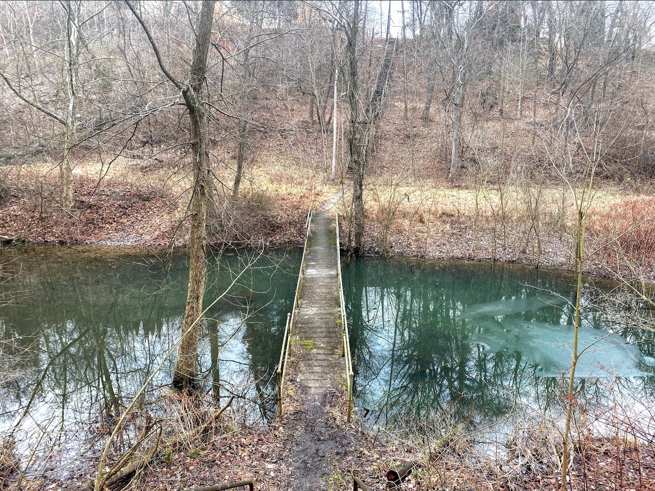 A narrow, weathered footbridge extends across a still, murky body of water, flanked by leafless trees and tangled undergrowth. The water reflects the bare branches above, with patches of ice lingering near the surface. The landscape beyond the bridge slopes upward, covered in brown grass and scattered brush, leading to a steep, eroded hillside. The overcast sky and muted colors create an eerie, desolate atmosphere, evoking a sense of isolation and mystery.