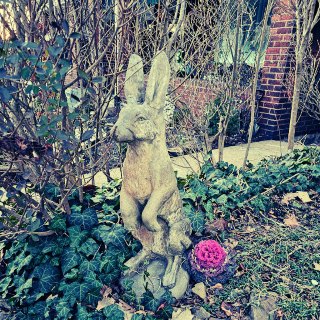 Stone rabbit statue surrounded by ivy and bare branches in a garden, with a single bright purple ornamental cabbage blooming near its base. A red brick house is partially visible in the background.