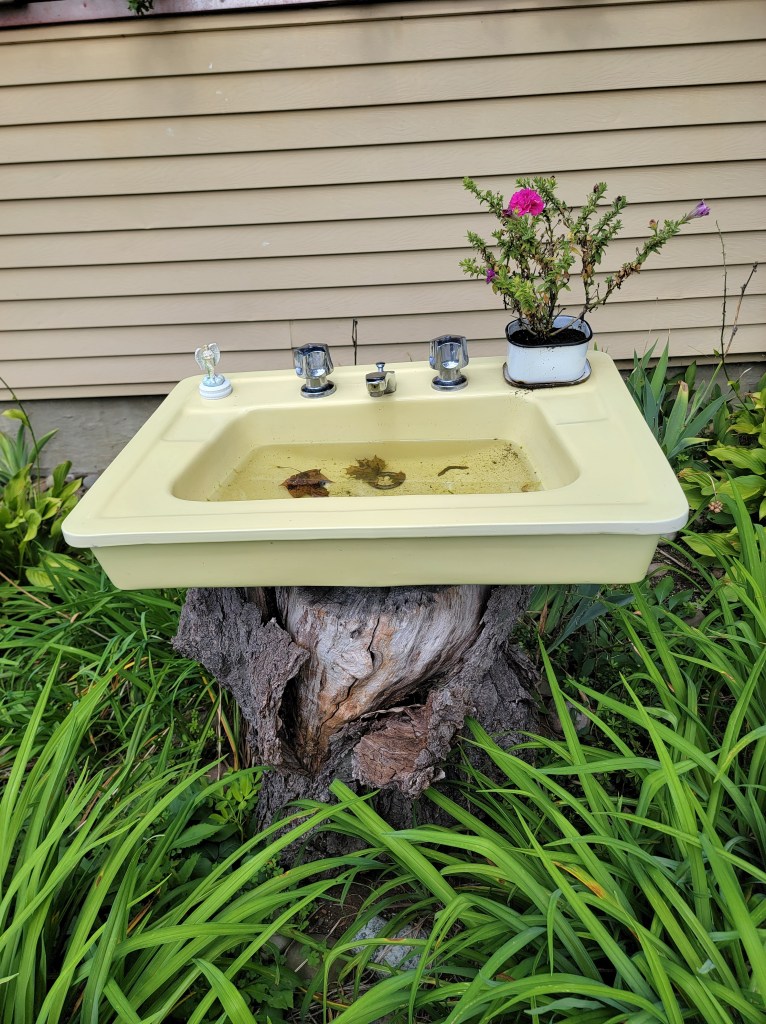 The Hollow Scent by Susan Iannuzzi, an old pale sink set outdoors on a stump, surrounded by green plants with a small vase of flowers nearby. 