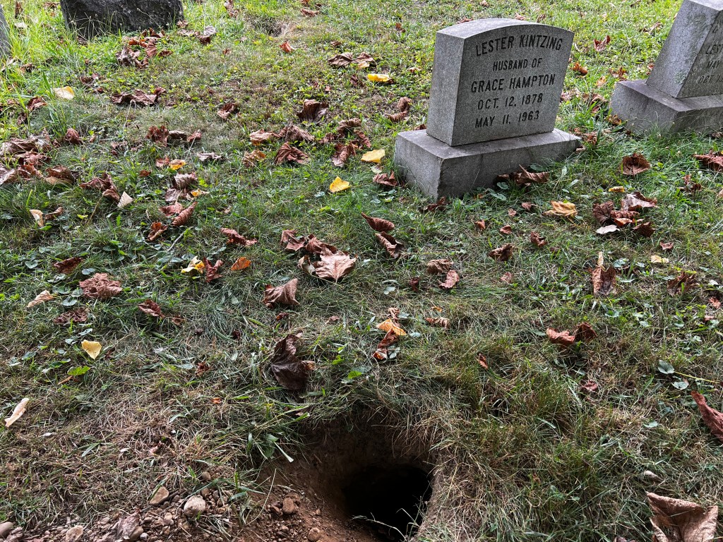 The Moles in the Holes by Eddie Kunz, a grassy cemetery with scattered leaves and a dark round mole hole in the dirt, with a tombstone in the background.